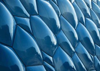Biomimicry: Nature-Inspired Designs