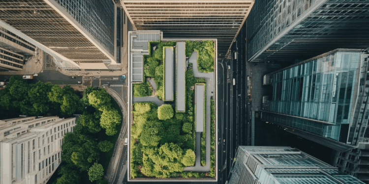 Net-Zero Buildings: Investment Opportunity